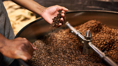 Best Commercial Coffee Roaster: Buyer’s Guide